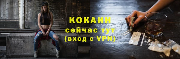 сатива Иннополис