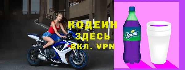 сатива Иннополис