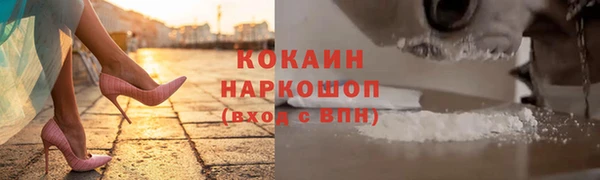 сатива Иннополис