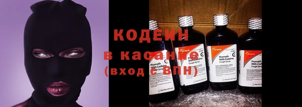 твердый Инта
