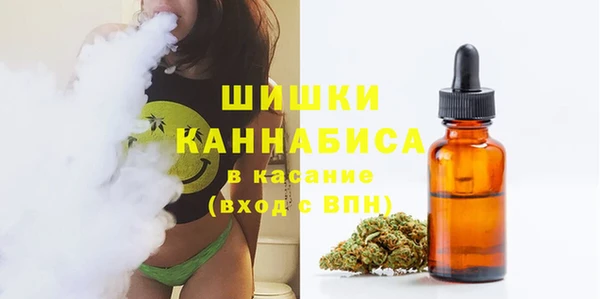 сатива Иннополис