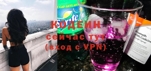 твердый Инта