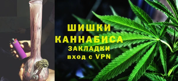 твердый Инта