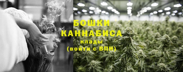 2c-b Инсар
