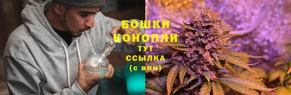 твердый Инта
