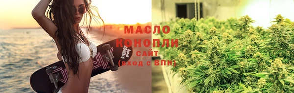 сатива Иннополис