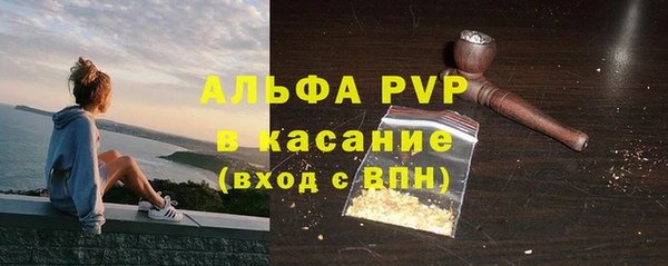 2c-b Инсар