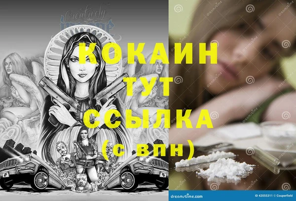 сатива Иннополис