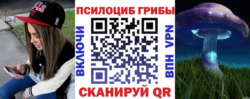 Купить где  Карабаш  Псилоцибиновые грибы мухоморы 